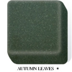 Autumn Leaves