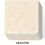 Abalone