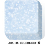Arctic Blueberry