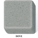 Dove