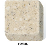 Fossil