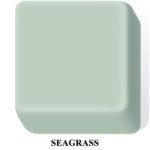 Seagrass