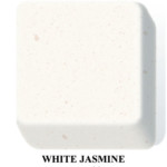 White Jasmine